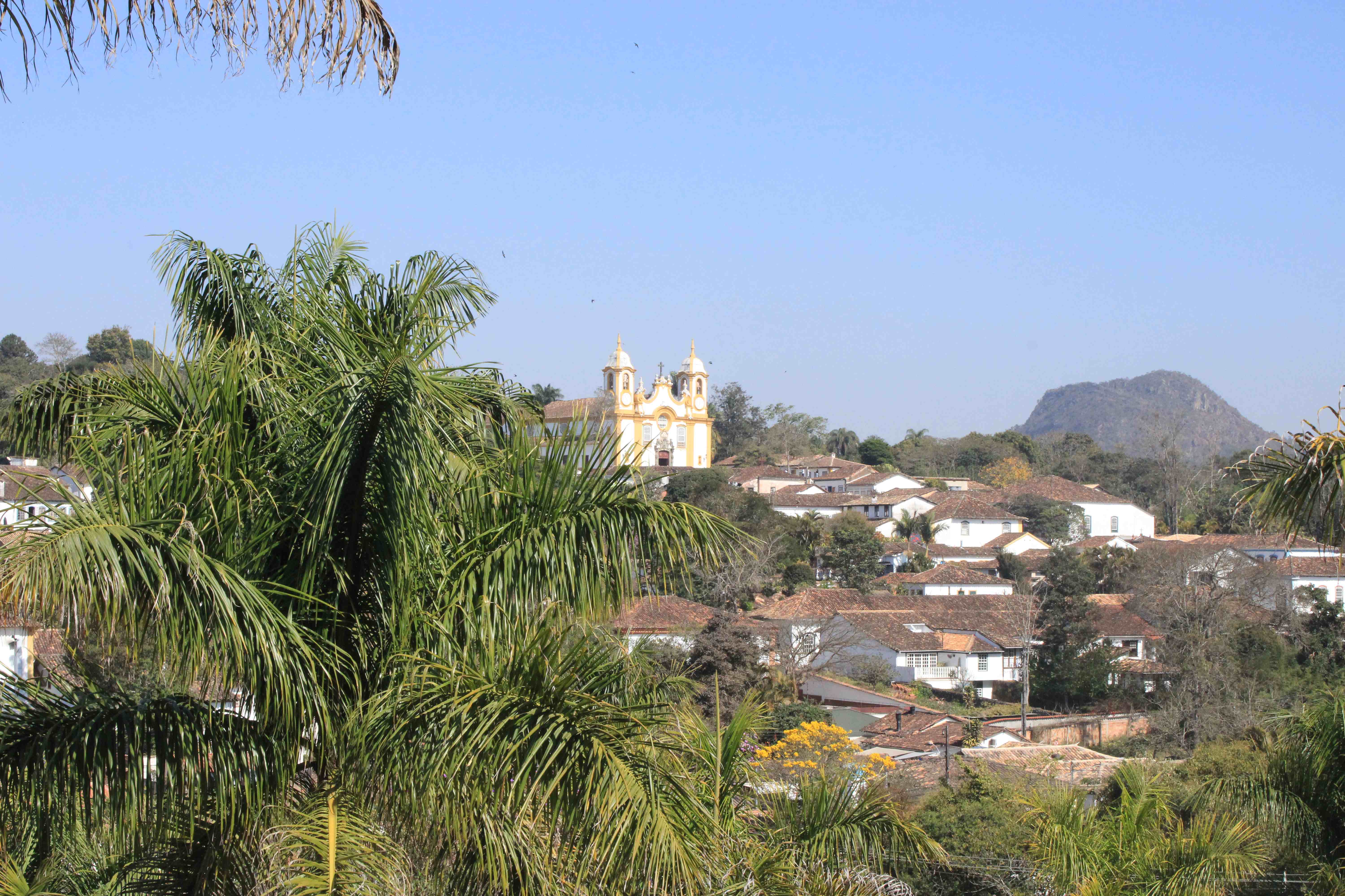 vista da cidade de tiradentes em segundo plano mostrando a igreja da matriz e outras edificações, em primeiro plano aparece um coqueiro grande e verde